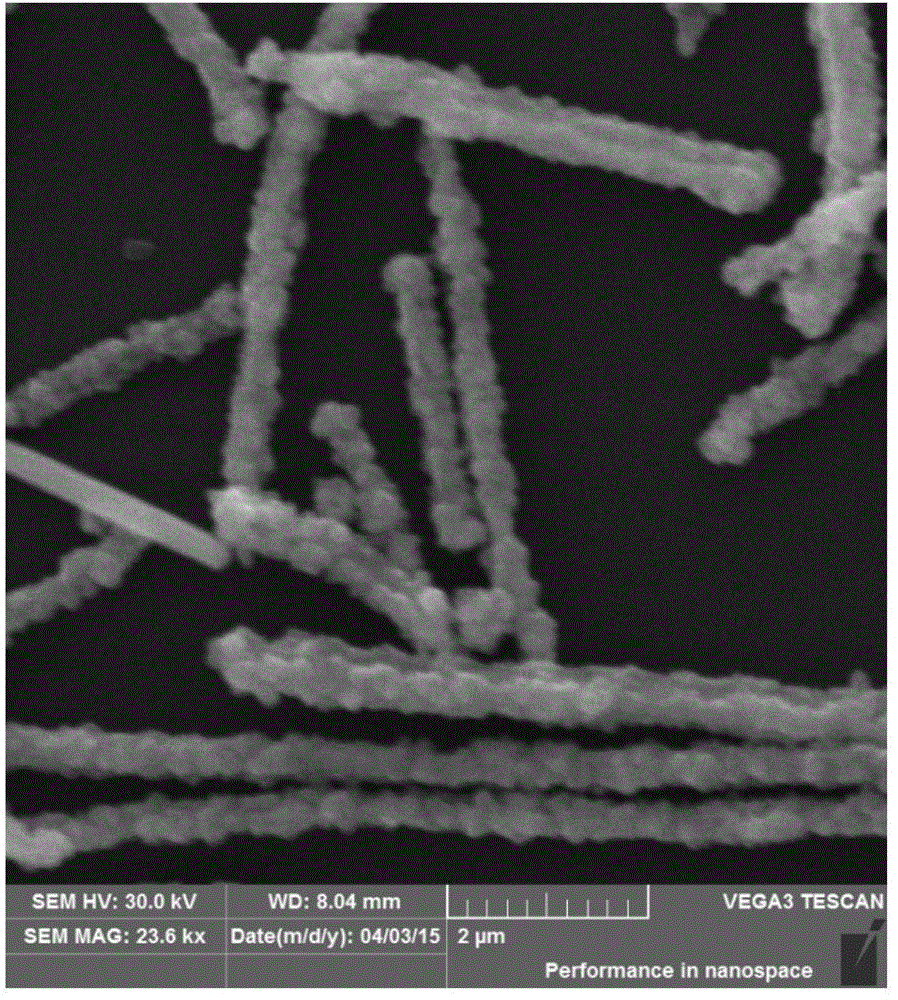 Method for preparing silver/silver sulfide nanowire with core shell structure