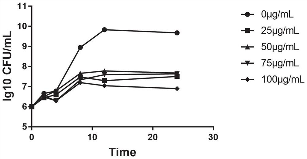 Application of desloratadine in preparation of anti-multidrug-resistant acinetobacter baumannii preparation