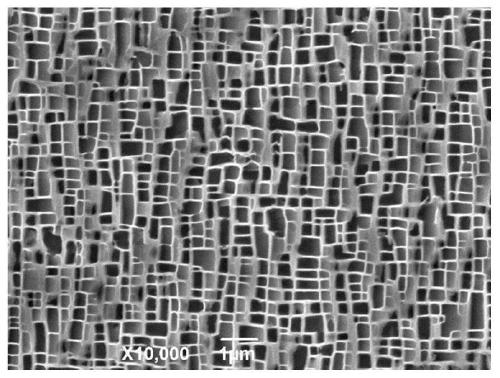 Life extension method of nickel-based single crystal alloy blade based on heat treatment repairing