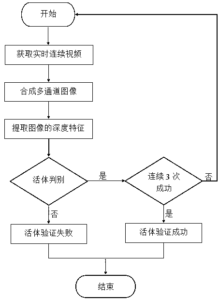 Real person verification method via videos