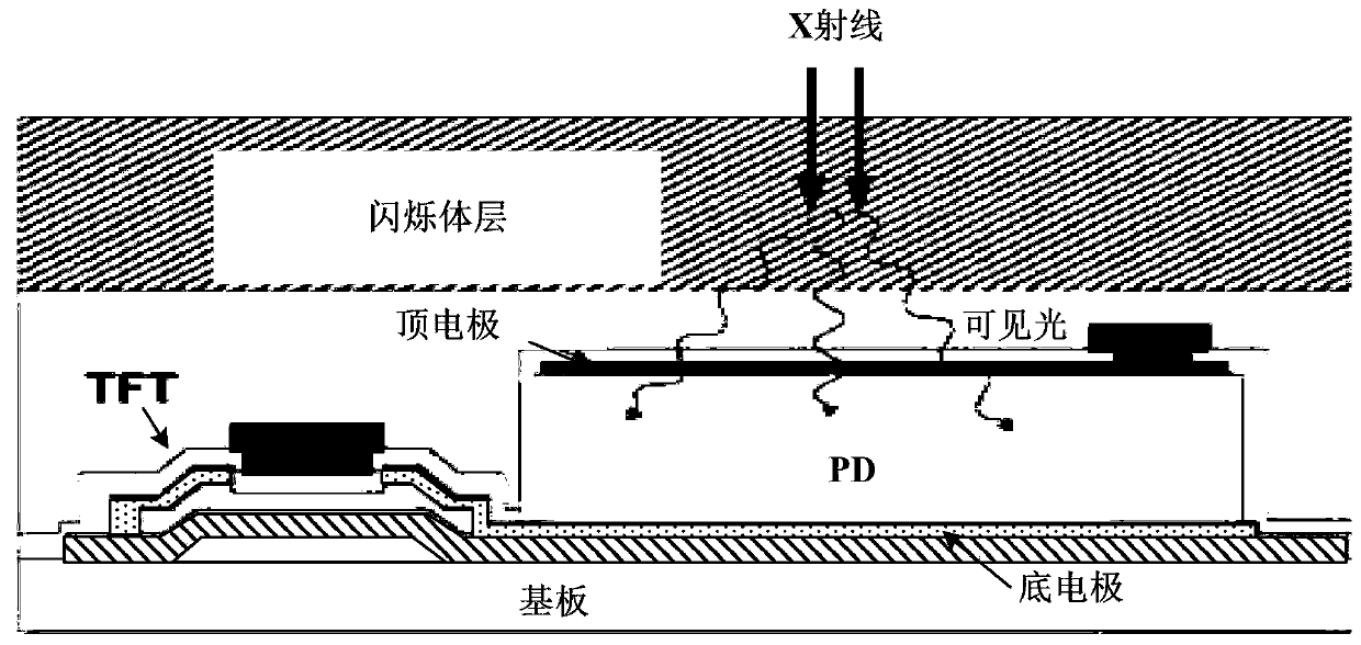 A kind of X-ray image sensor and method for eliminating image afterimage