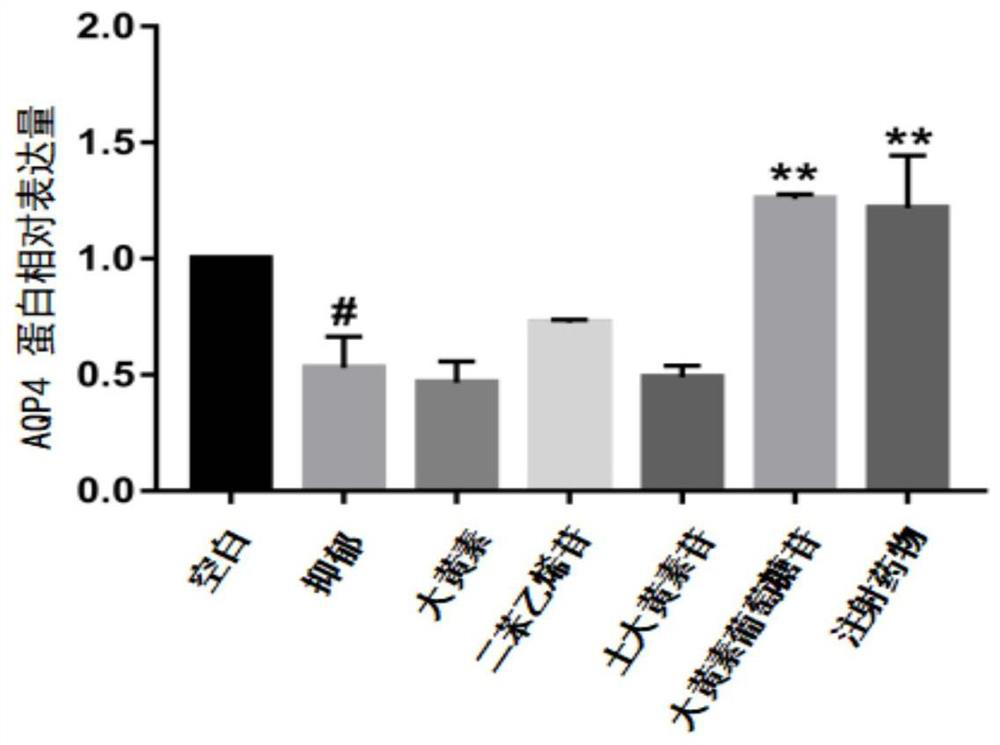 Use of aquaporin 4 as a drug target for depression