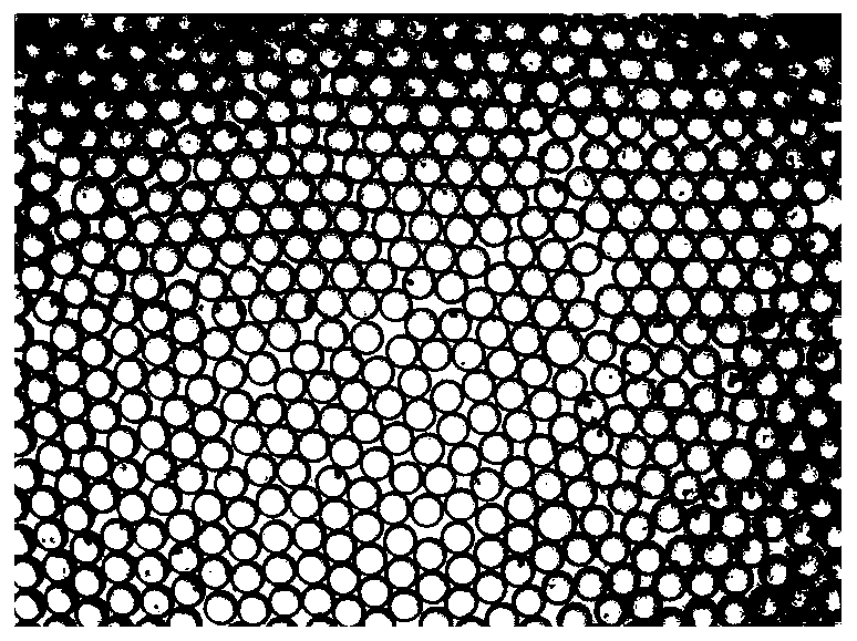 Method for detecting long non-coding RNA in urine of prostate cancer patients by using digital PCR