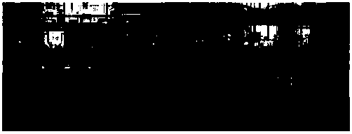 Method for treating high-concentration refractory organic wastewater by using microwave induced oxidation