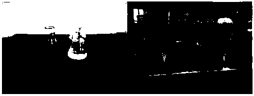 Method for treating high-concentration refractory organic wastewater by using microwave induced oxidation