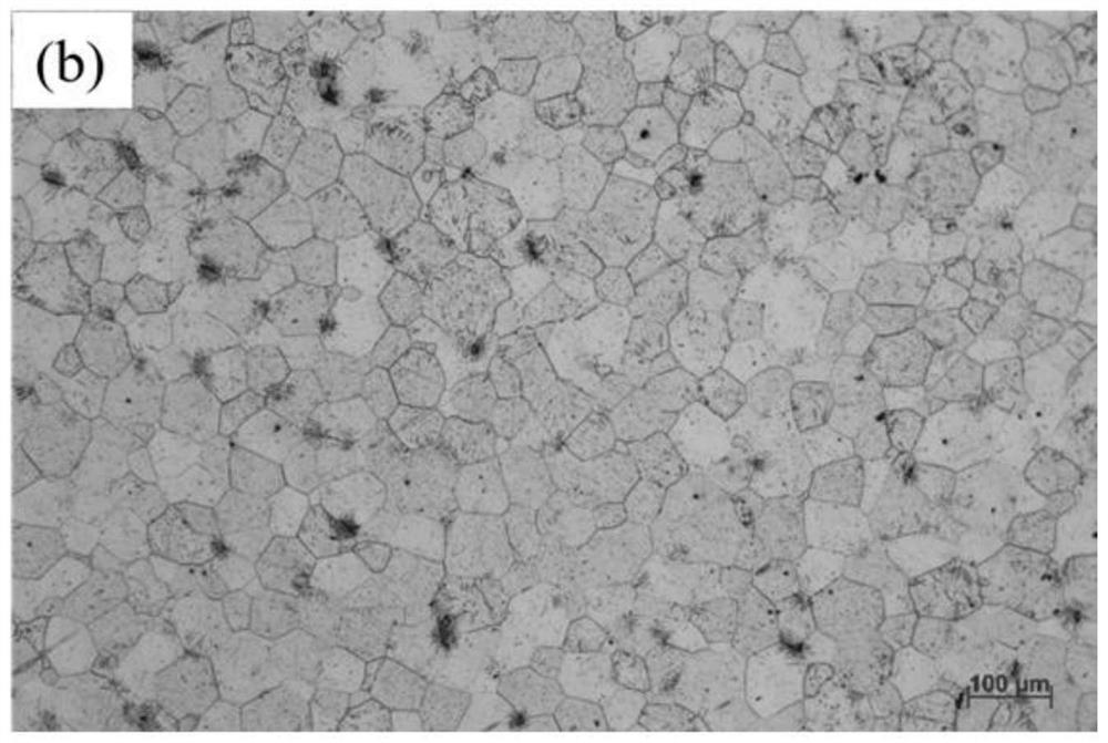 Grain refinement method for large-size semi-continuous casting magnesium alloy ingot