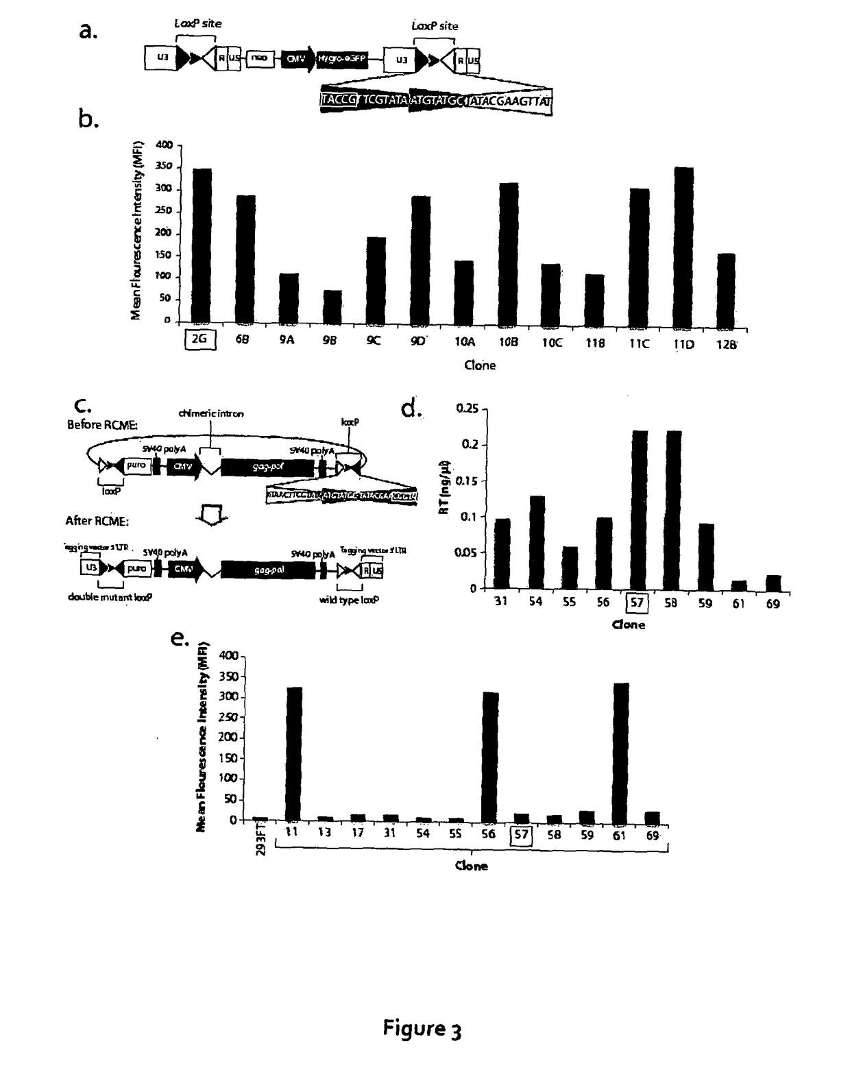 Materials and methods relating to packaging cell lines