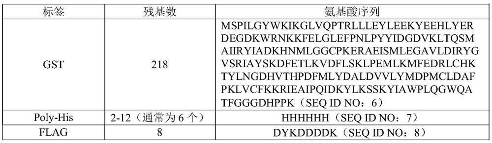 HPPD protein, gene, vector, cell, composition, application of HPPD protein, gene, vector, cell and composition, and method for improving herbicide resistance of crops