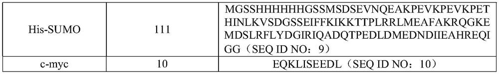 HPPD protein, gene, vector, cell, composition, application of HPPD protein, gene, vector, cell and composition, and method for improving herbicide resistance of crops