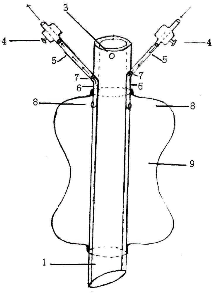 Multifunctional air bag type anal tube