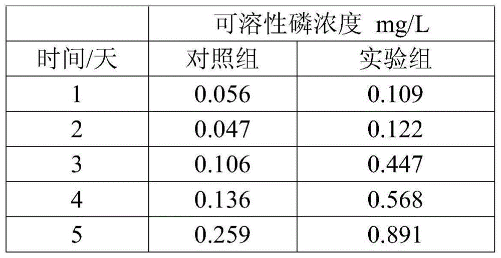 Preparation for promoting phosphorous release of bottom sludge of aquaculture pond, and preparation method and application of preparation