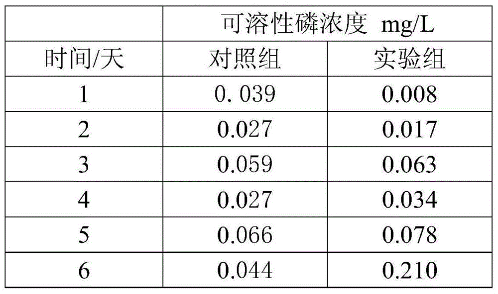 Preparation for promoting phosphorous release of bottom sludge of aquaculture pond, and preparation method and application of preparation