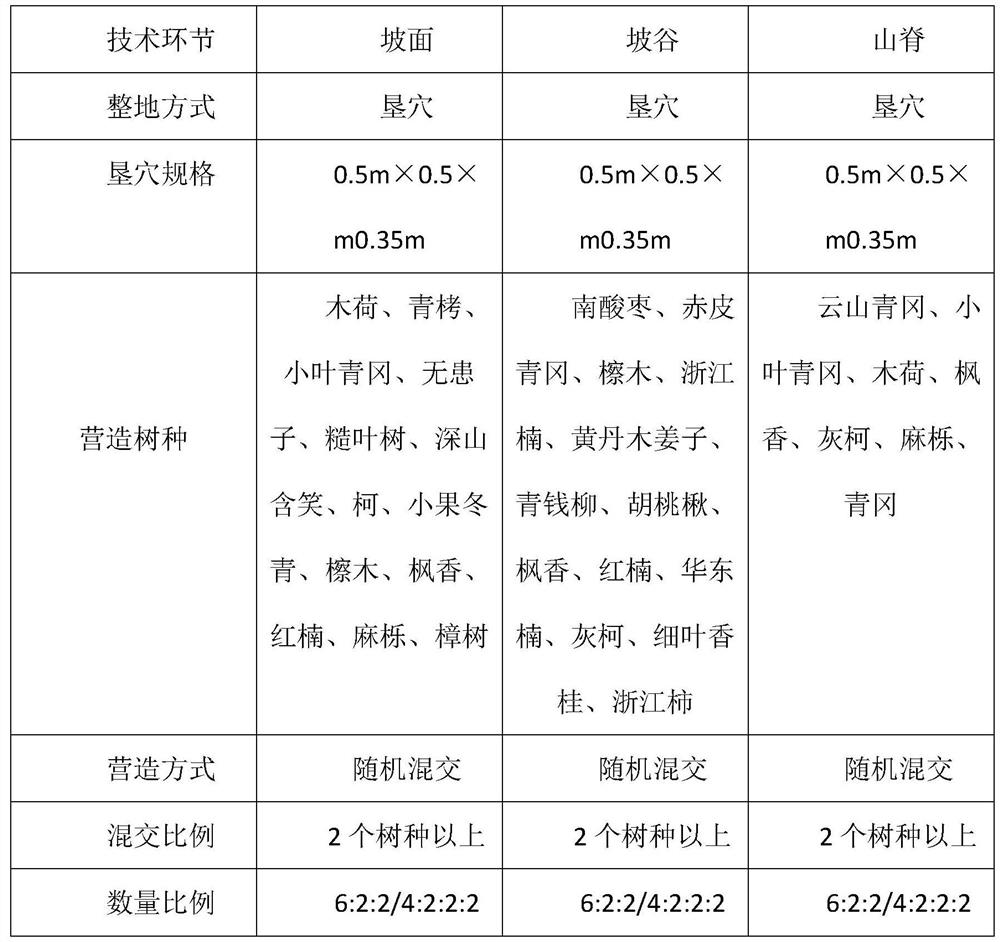 Construction method of subtropical eastern carbon sink forest based on the proportion of plant community traits and functions