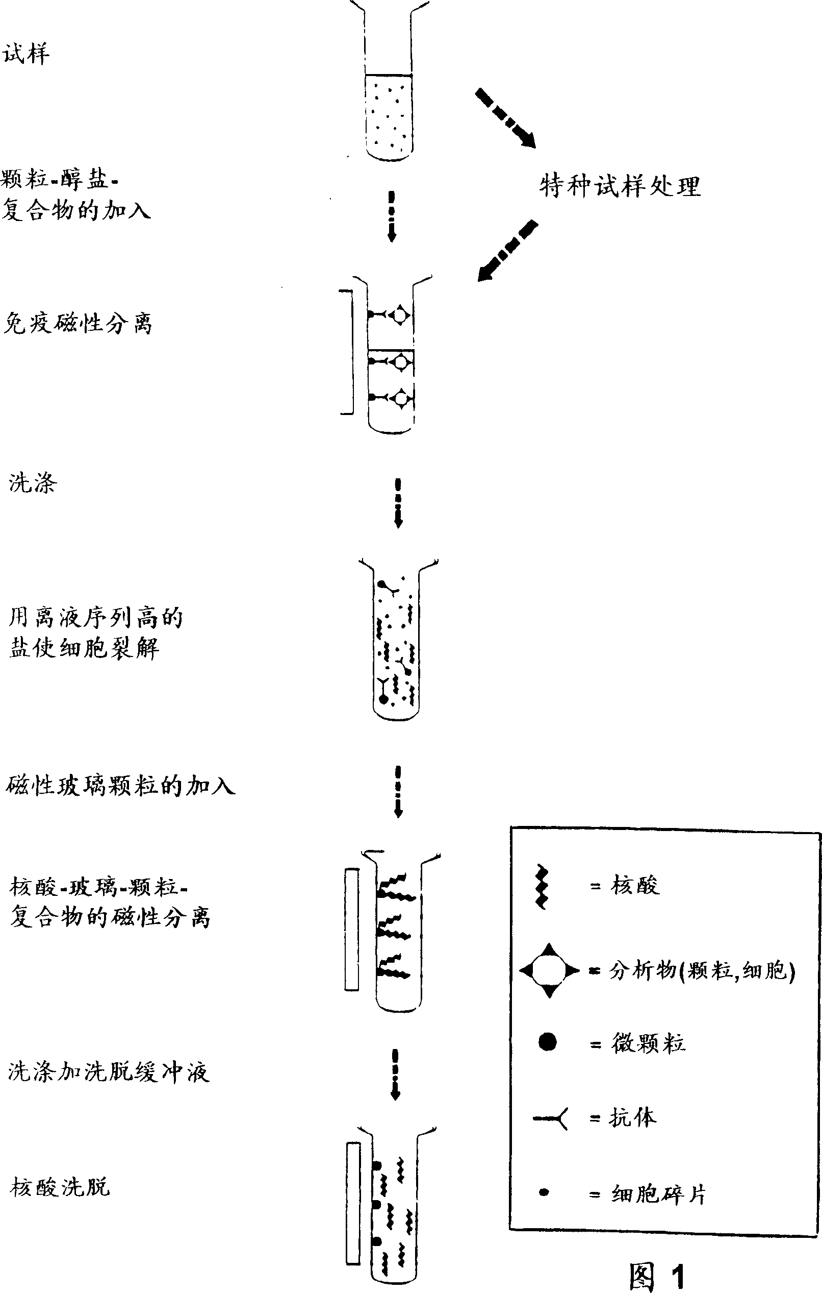 Enzyme reaction method for nucleic acid and composition for separating nucleic acid