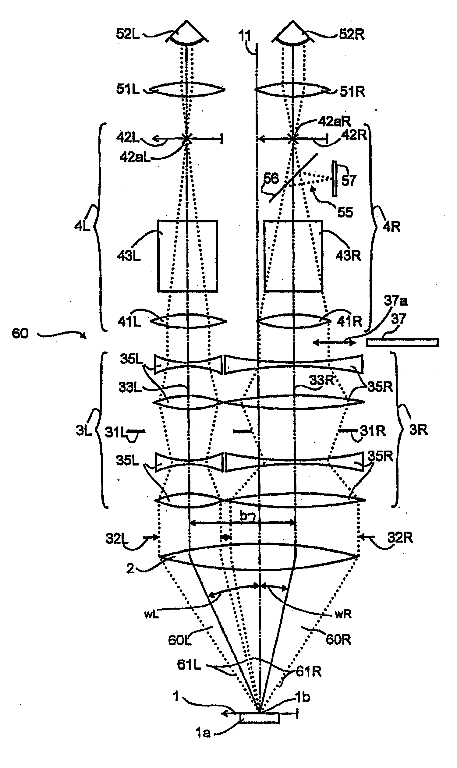 Stereomicroscope