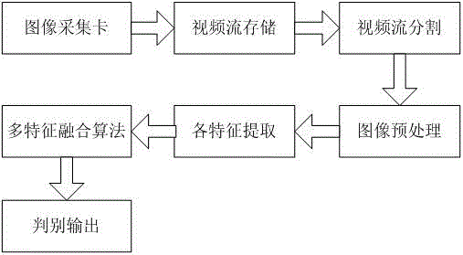 Fire flame video monitoring and early warning system and fire flame detection method