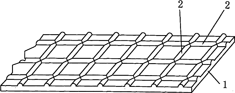 Bionic thin solid film