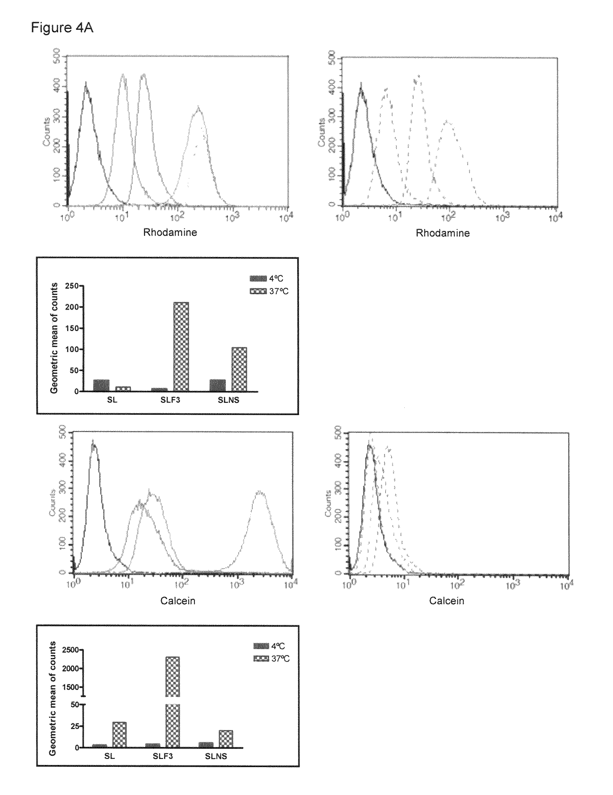 Targeted delivery to human diseases and disorders