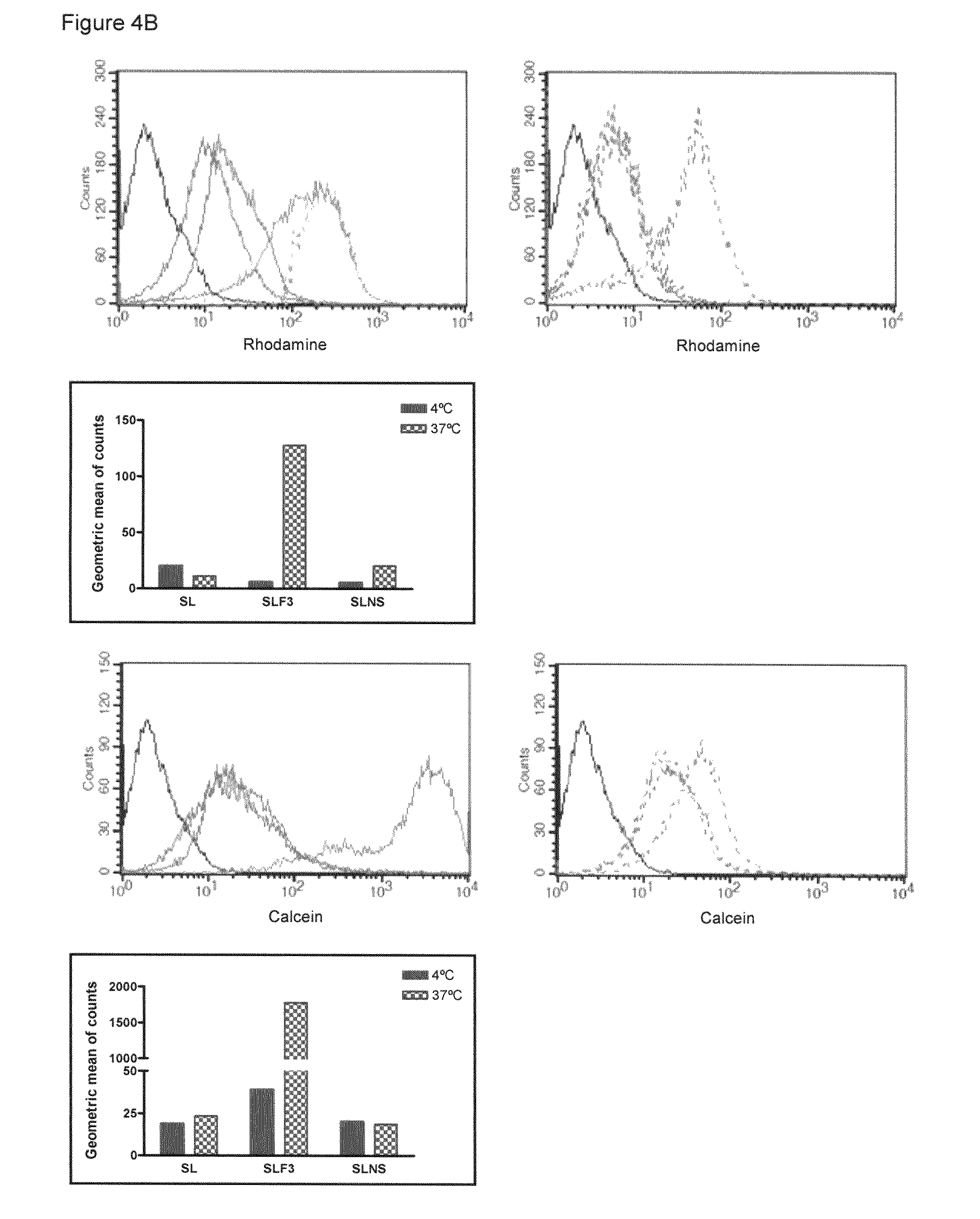 Targeted delivery to human diseases and disorders