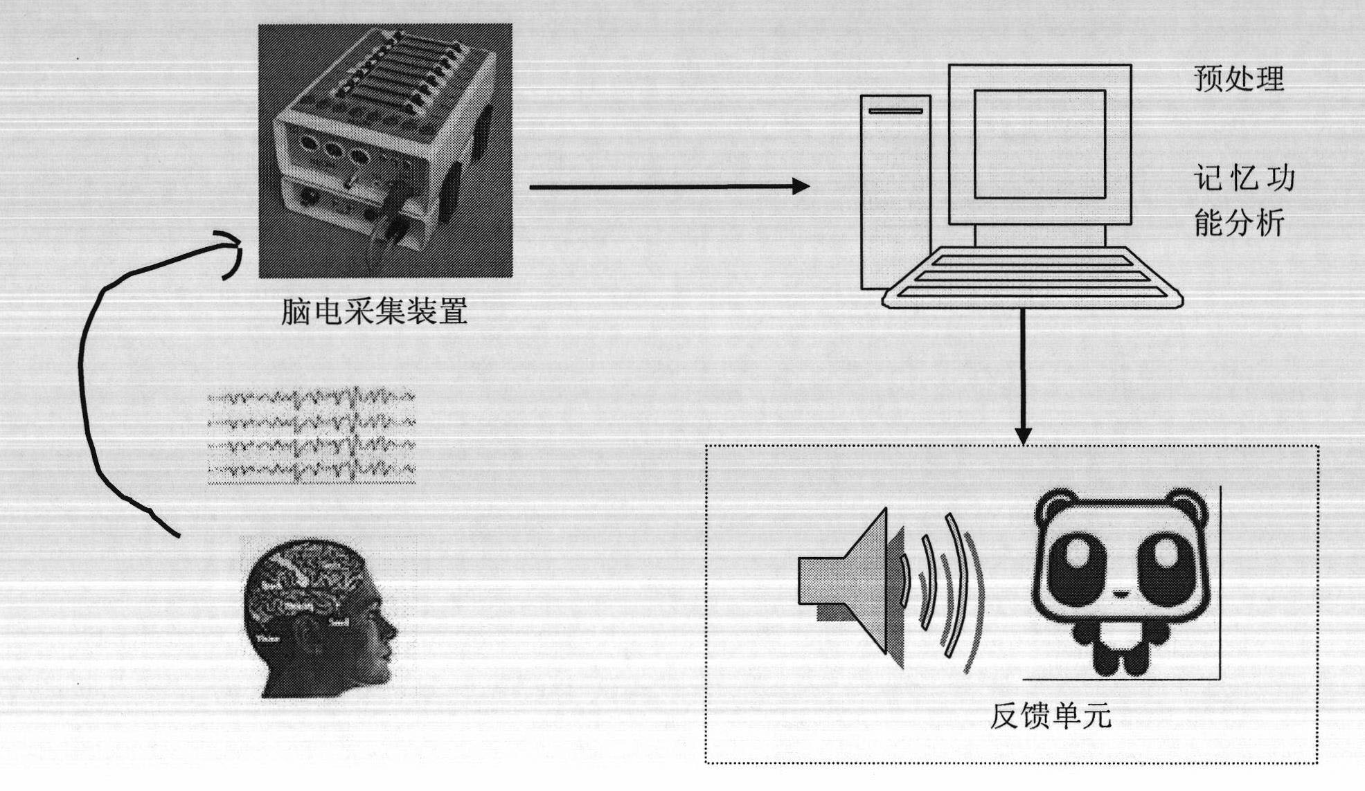 Nerve feedback training instrument used for brain memory function improvement on basis of electroencephalogram