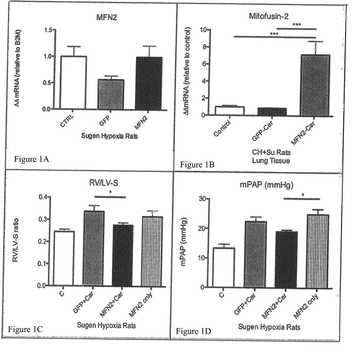 Methods for Increasing the Selective Efficacy of Gene Therapy Using CAR Peptide and Heparan Sulfate Mediated Macropinocytosis