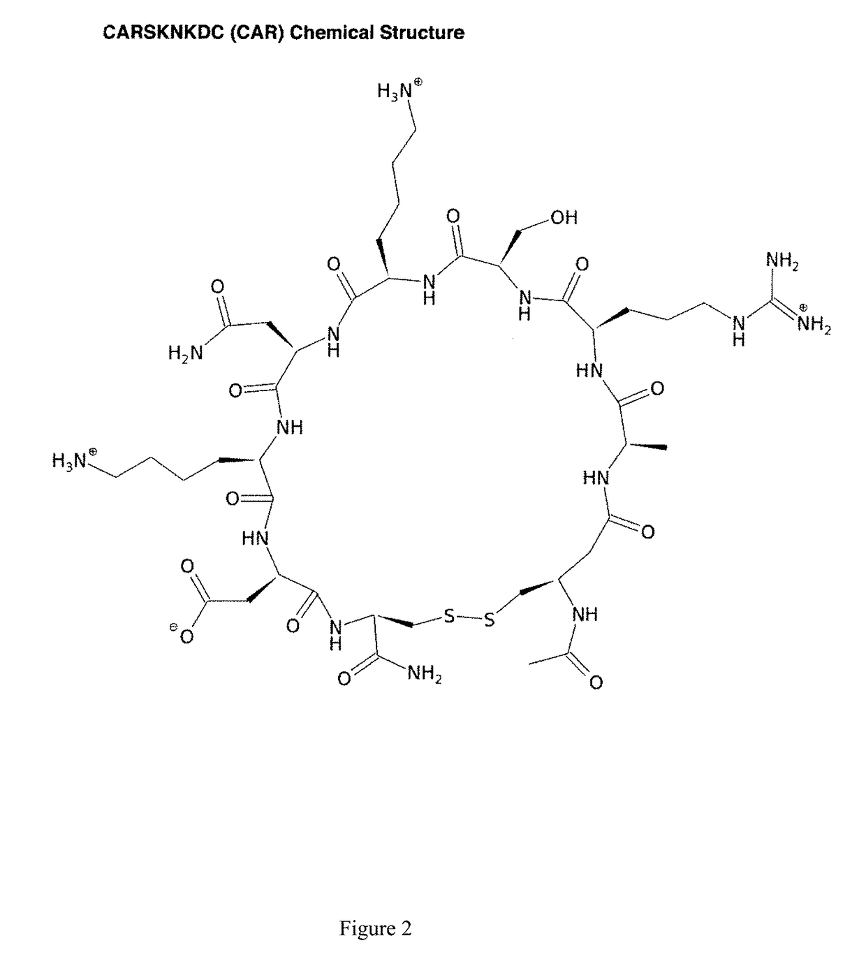 Methods for Increasing the Selective Efficacy of Gene Therapy Using CAR Peptide and Heparan Sulfate Mediated Macropinocytosis