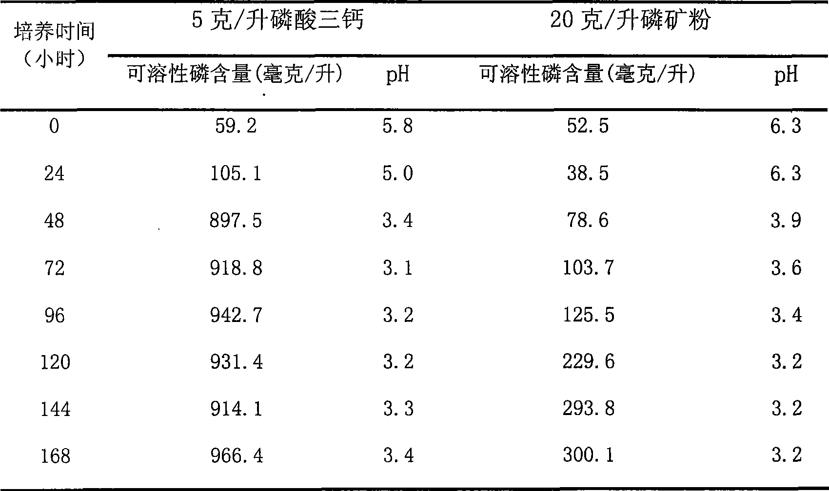 Penicillium, as well as preparation method and application