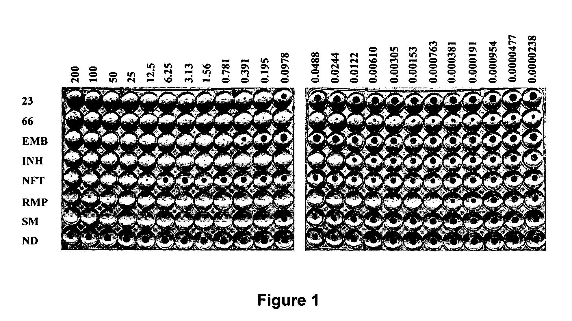 Heterocyclic amides with anti-tuberculosis activity