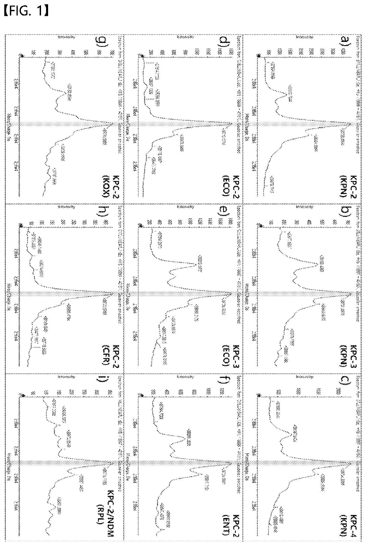 Direct detection of the active form of beta-lactam-hydrolysing enzymes by using mass spectrophotometry