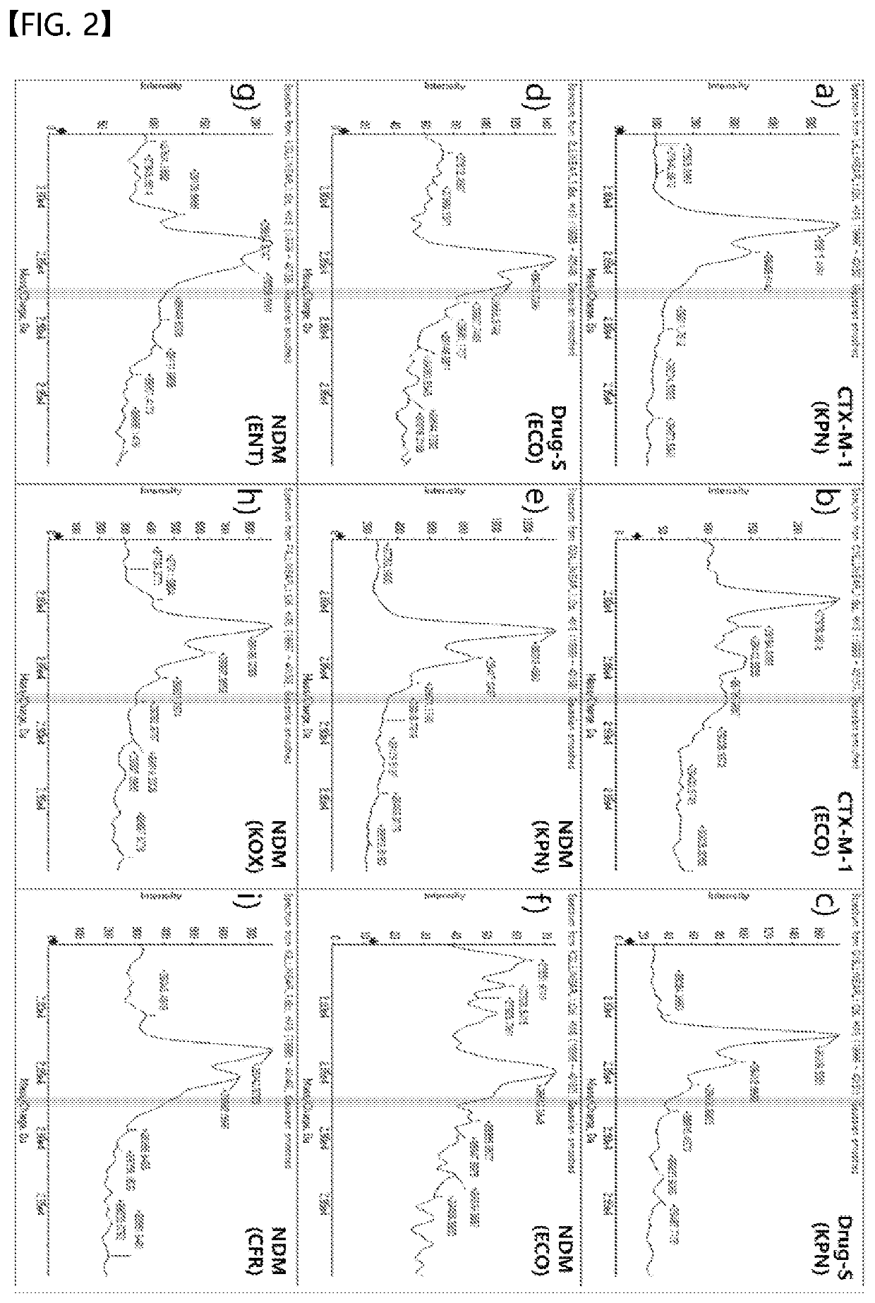 Direct detection of the active form of beta-lactam-hydrolysing enzymes by using mass spectrophotometry