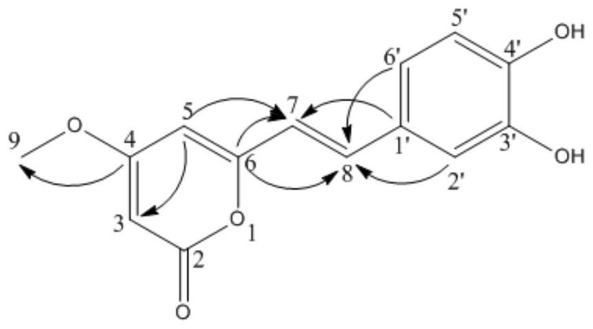 Effect of copper wire stem root in preparation of medicine for treating osteoarthritis