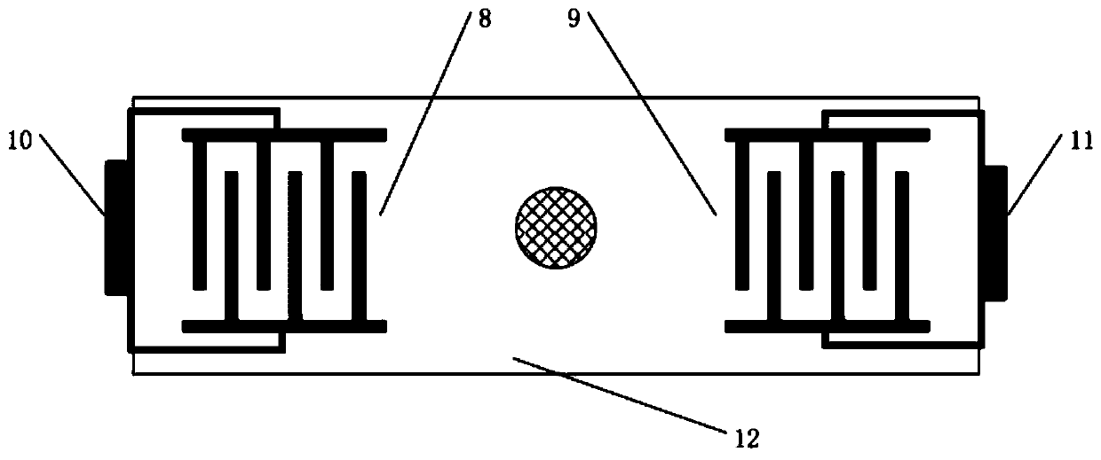 Lever-type bidirectional surface acoustic wave acceleration sensor