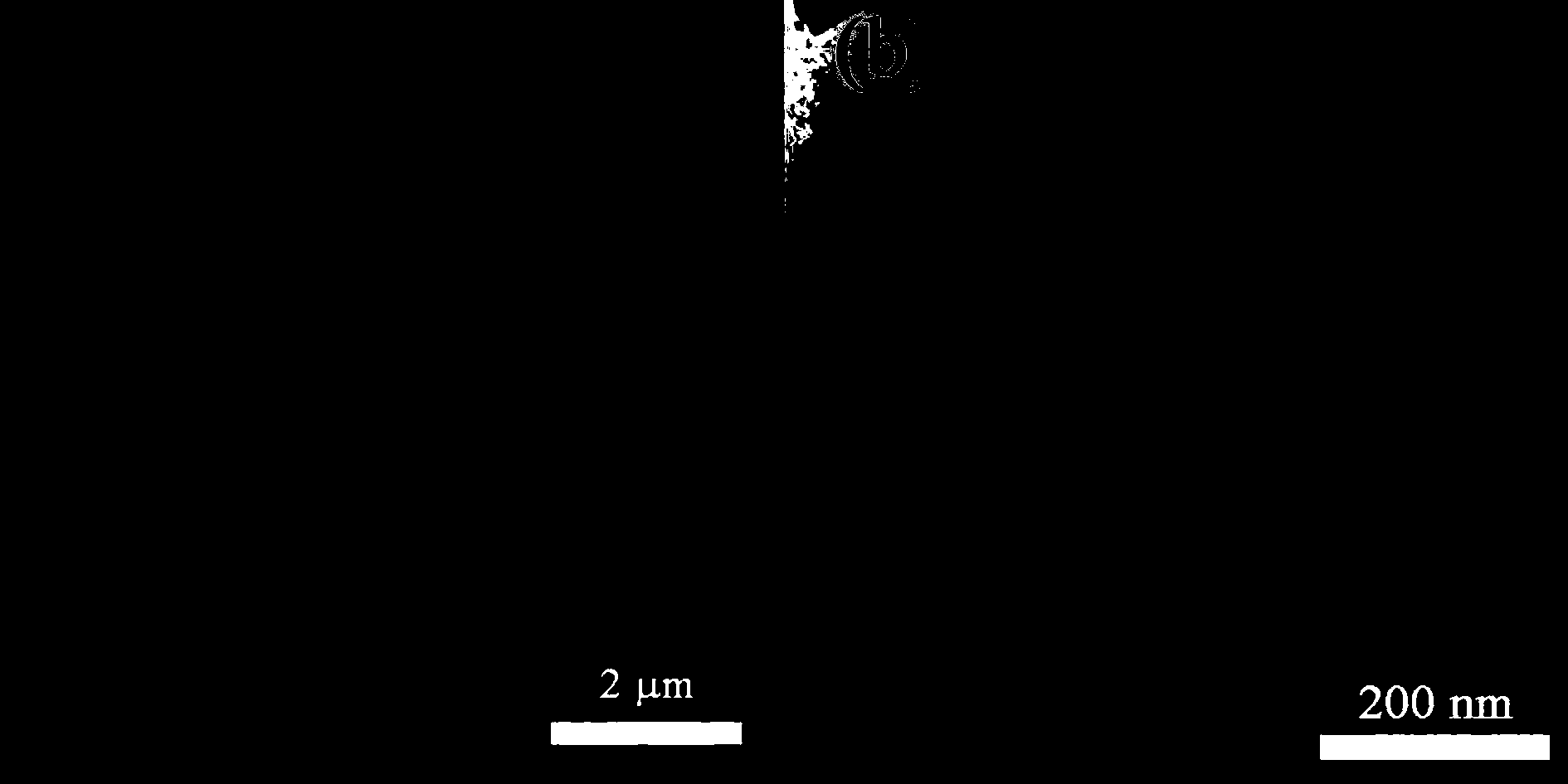 Preparation of rod-shaped nano tungsten trioxide and technology of catalytic synthesis of adipic acid therethrough