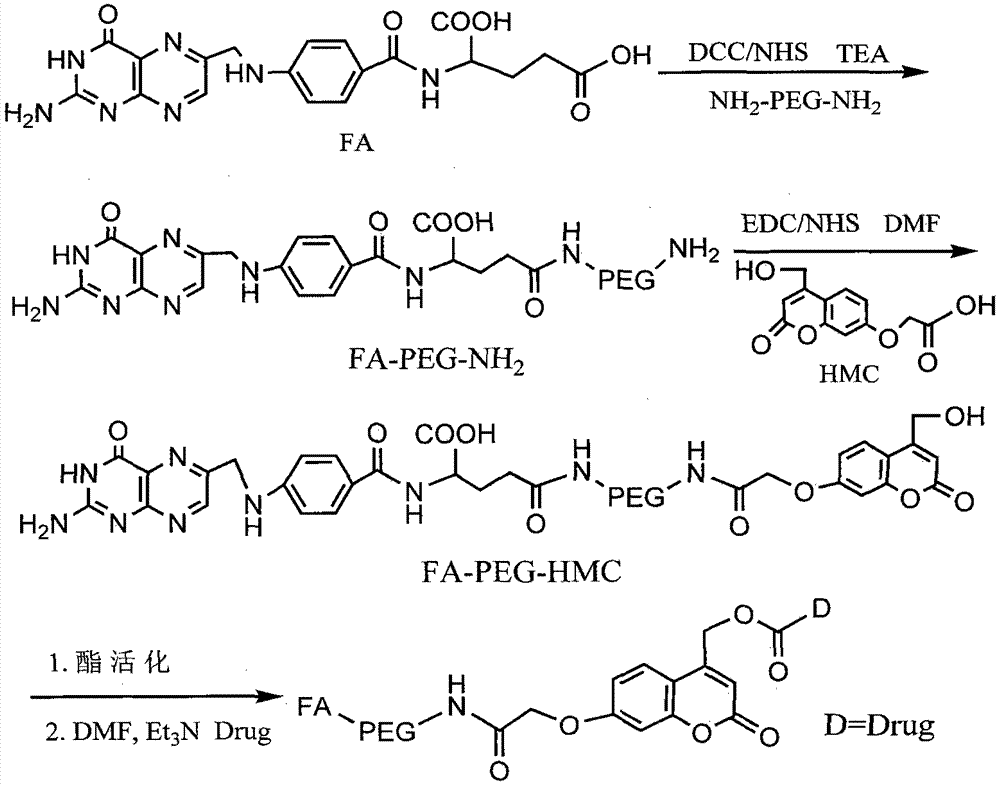 Antitumor medicine conjugate with folic acid receptor-mediated and photoresponsive functions, and preparation method thereof