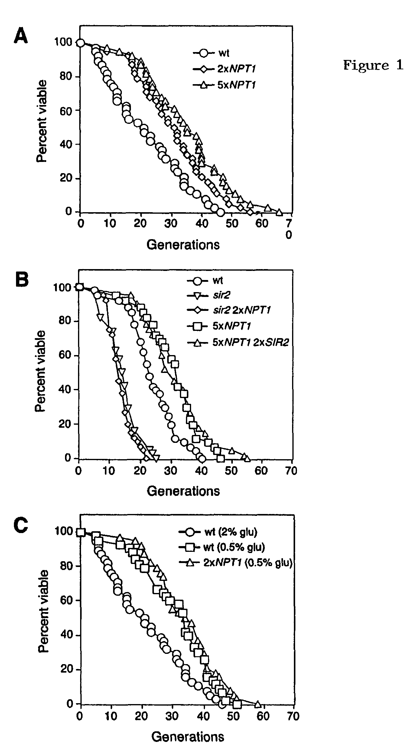 Methods and compositions for extending the life span and increasing the stress resistance of cells and organisms