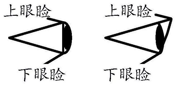 Determination method and device for opening and closing distance of eye