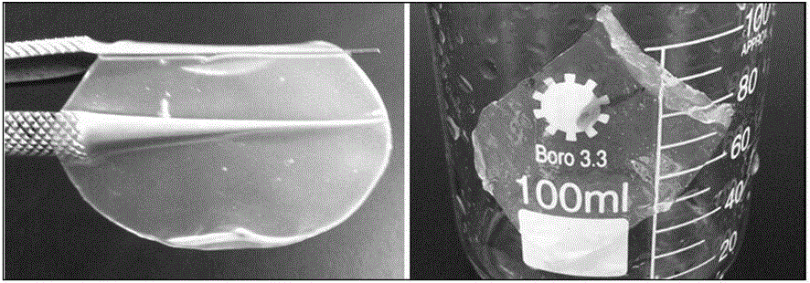 Regenerated silk fibroin gel mask and preparation method thereof