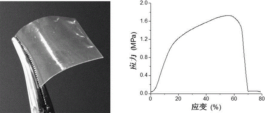 Regenerated silk fibroin gel mask and preparation method thereof