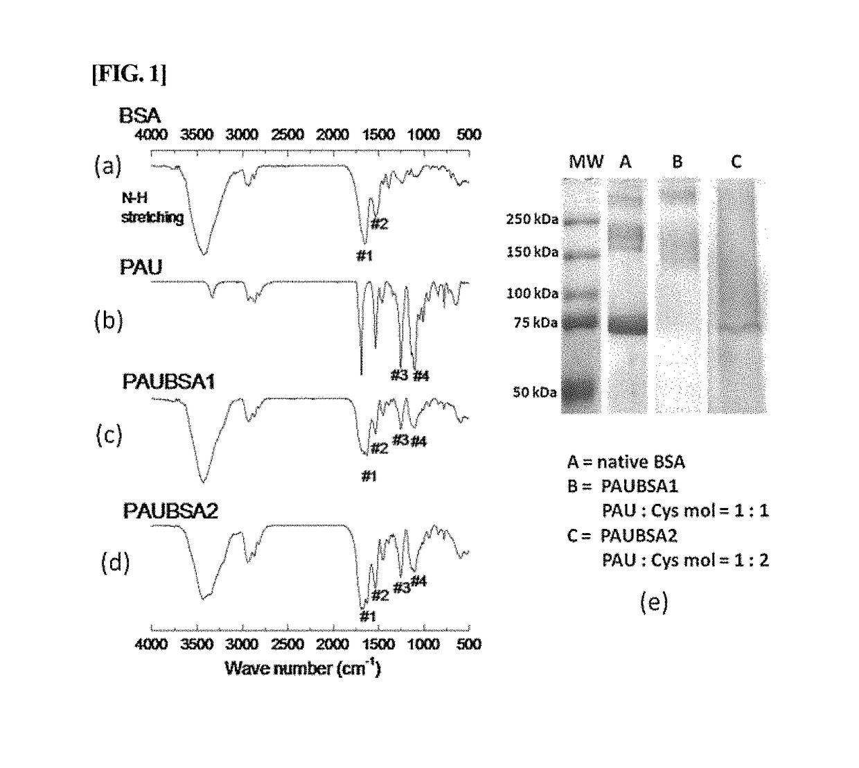 Albumin conjugated temperature and pH-sensitive multi-block copolymer, a method of preparation thereof and drug delivery system using the same