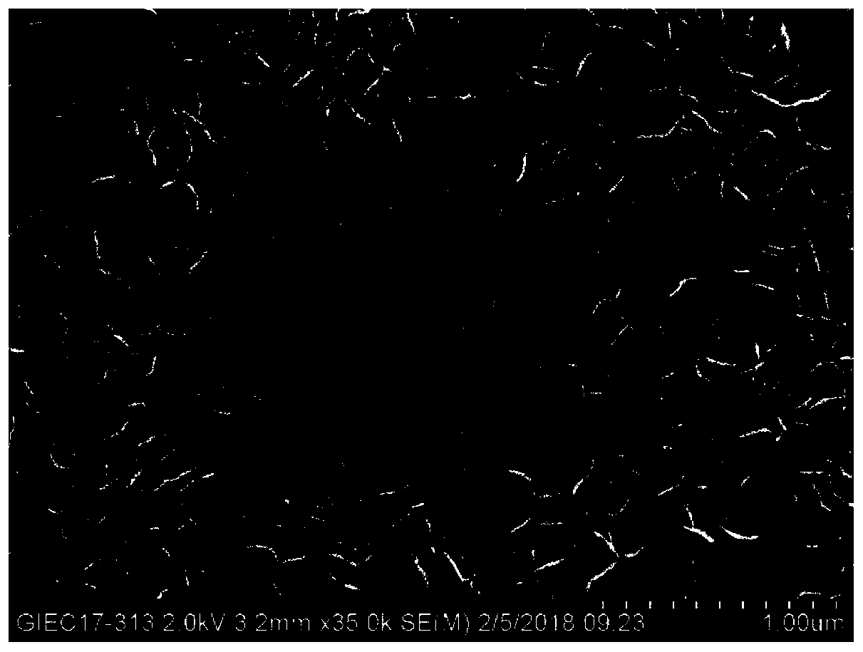 Preparation method of ratio type broad-spectrum photoelectric immunosensor