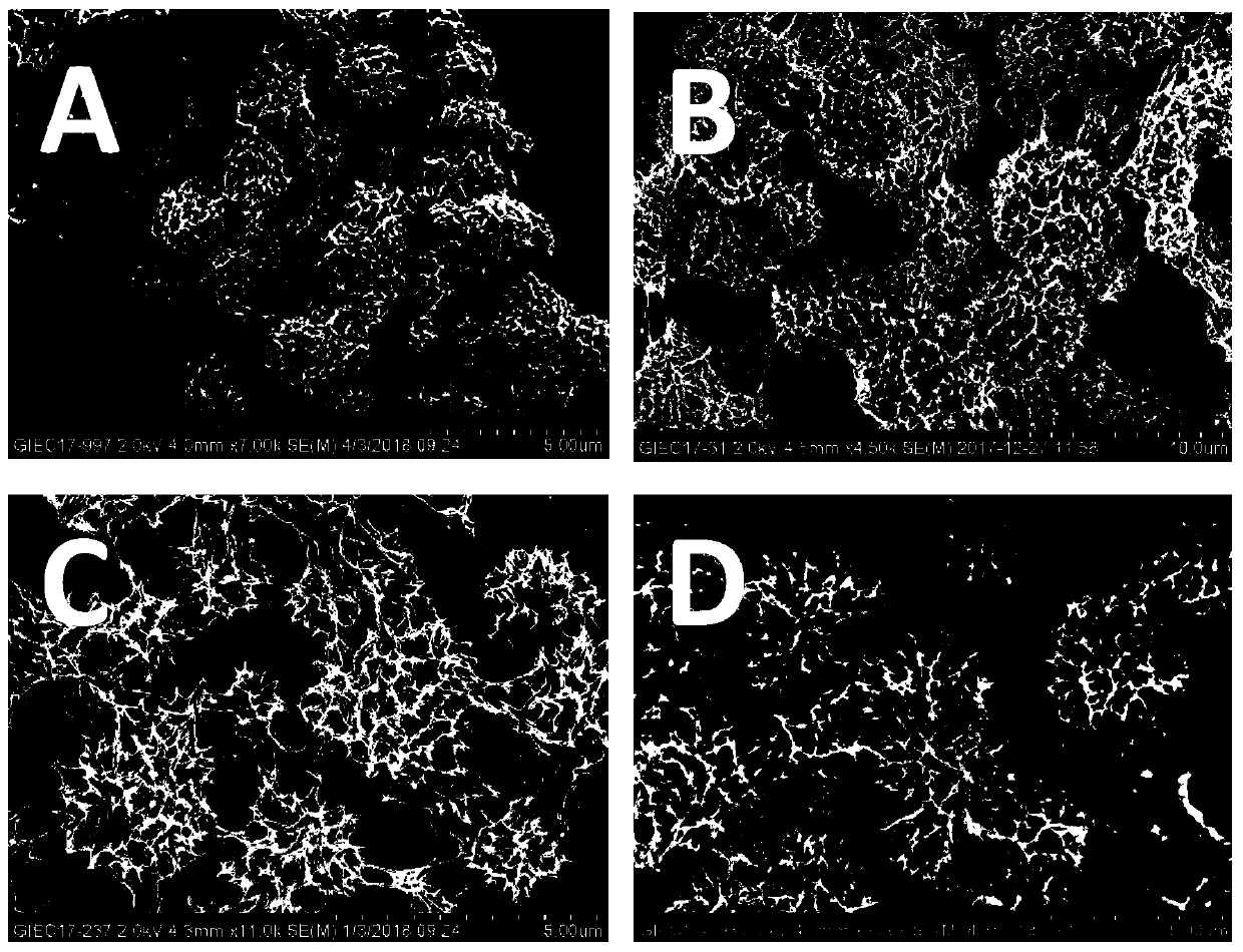 Preparation method of ratio type broad-spectrum photoelectric immunosensor