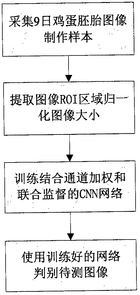 Convolutional neural network (CNN) based egg embryo classification method