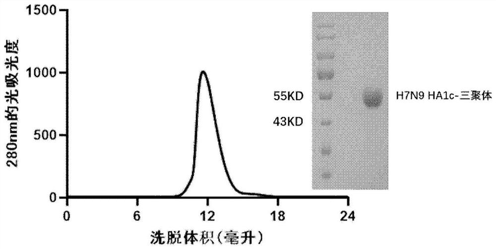 Avian influenza virus trimer subunit vaccine and application thereof