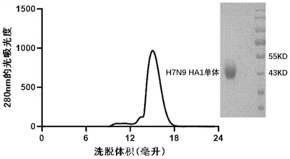 Avian influenza virus trimer subunit vaccine and application thereof