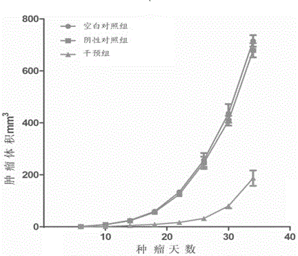 Method for inhibiting hepatoma carcinoma nude mouse transplantation tumor capacity through silent secretory clusterin