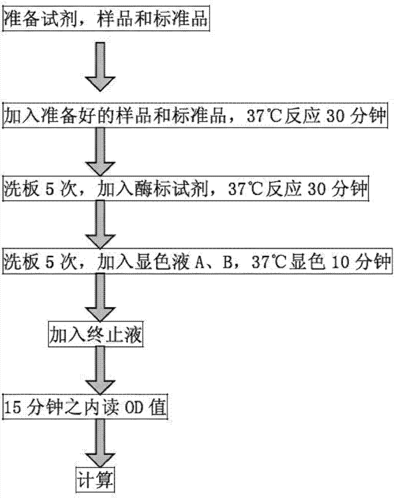 Method for detecting urine fibronectin, and kit thereof