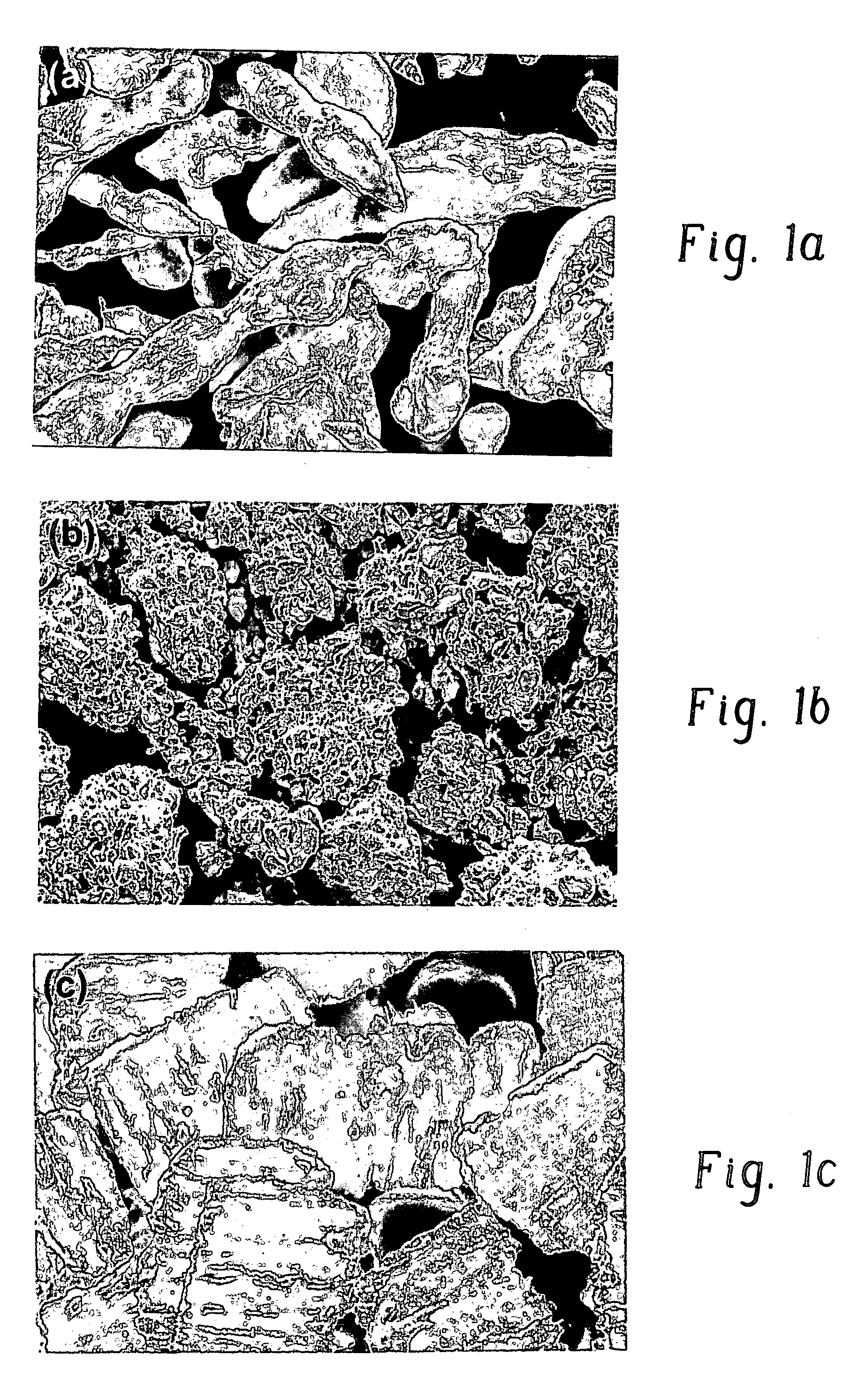 Electrochemical cell