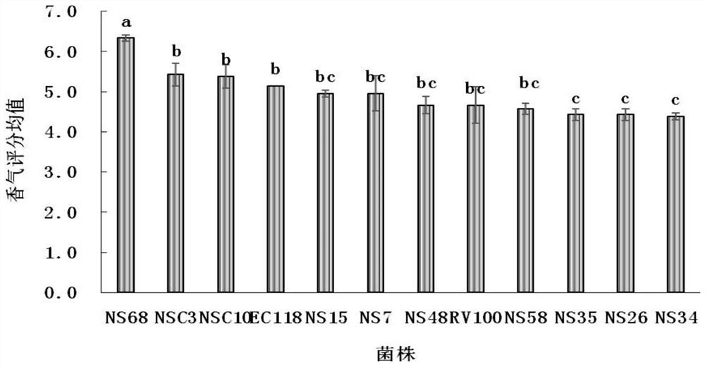 A compound fermentation composition and its application in brewing dry Cabernet Sauvignon wine