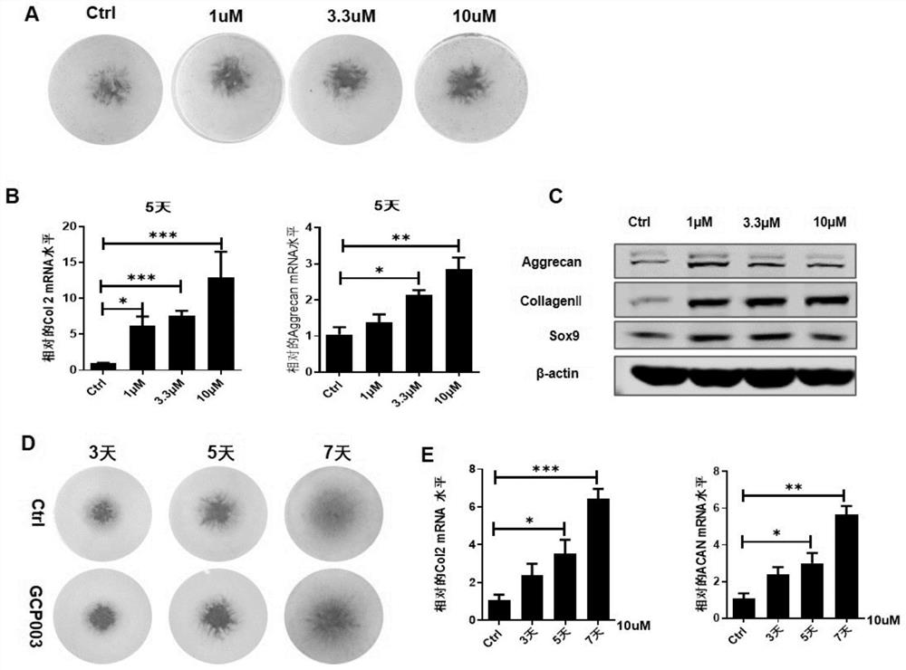 Compounds for inducing mesenchymal stem cells to differentiate into cartilage and application of compounds