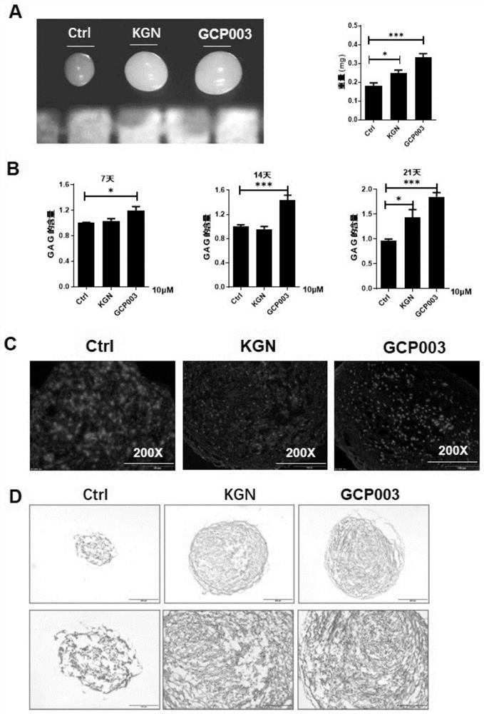 Compounds for inducing mesenchymal stem cells to differentiate into cartilage and application of compounds